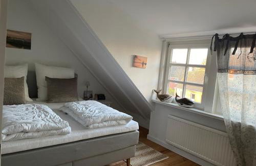 Gulfhaus Alte Meesterei - Foto 58