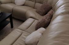 Vivir es Increíble - Foto 19