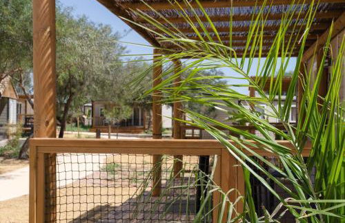 Taiga Almeria Playa - Photo 29