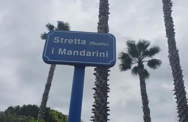 Villa les palmiers -Stretta di i mandarini - Foto 40