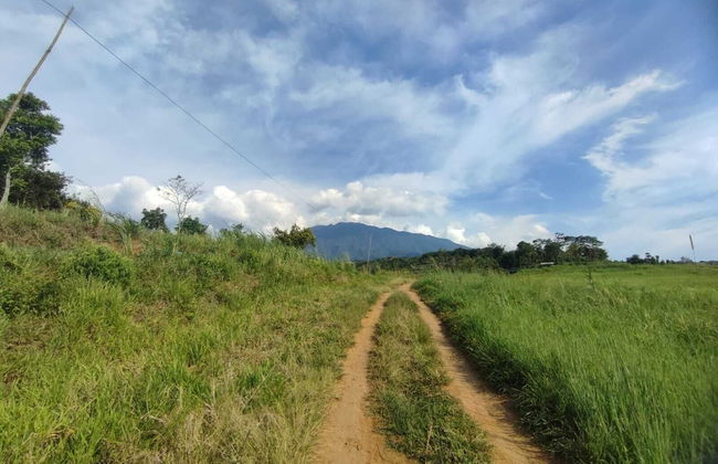 Griya Suminar Bogor - Foto 24