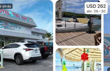 Bienvenidos a la Pequeña Selva de Legnalife - Foto 58