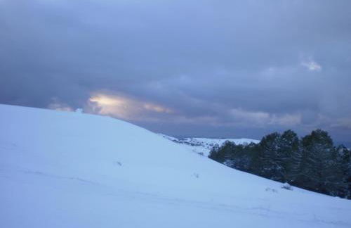 Refugio del Segura - Foto 42