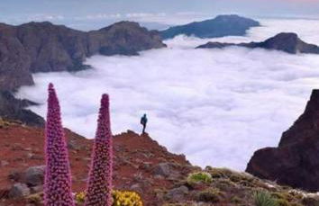 Residenz TraumBlick - Foto 27