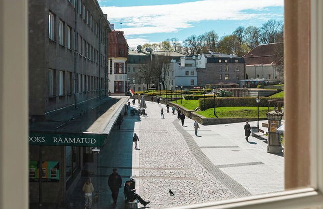 Nexus Rentals Tallinn - Foto 32