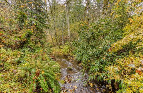 Shadowbrook Chalet - Foto 34