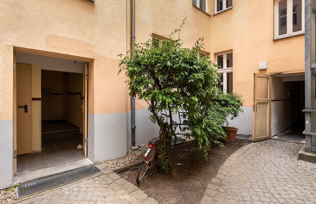 Numa Berlin Kater - Foto 2