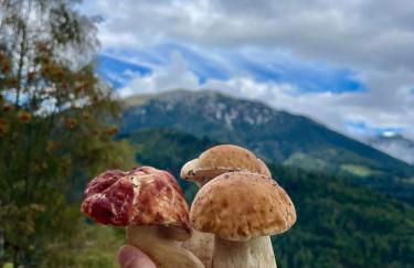 Maso Patrizia - Il tuo rifugio nella natura - Foto 9
