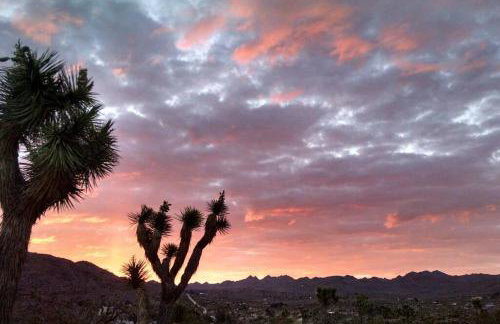 Steph's Panorama Paradise-Nat'l Park minutes away - Foto 15