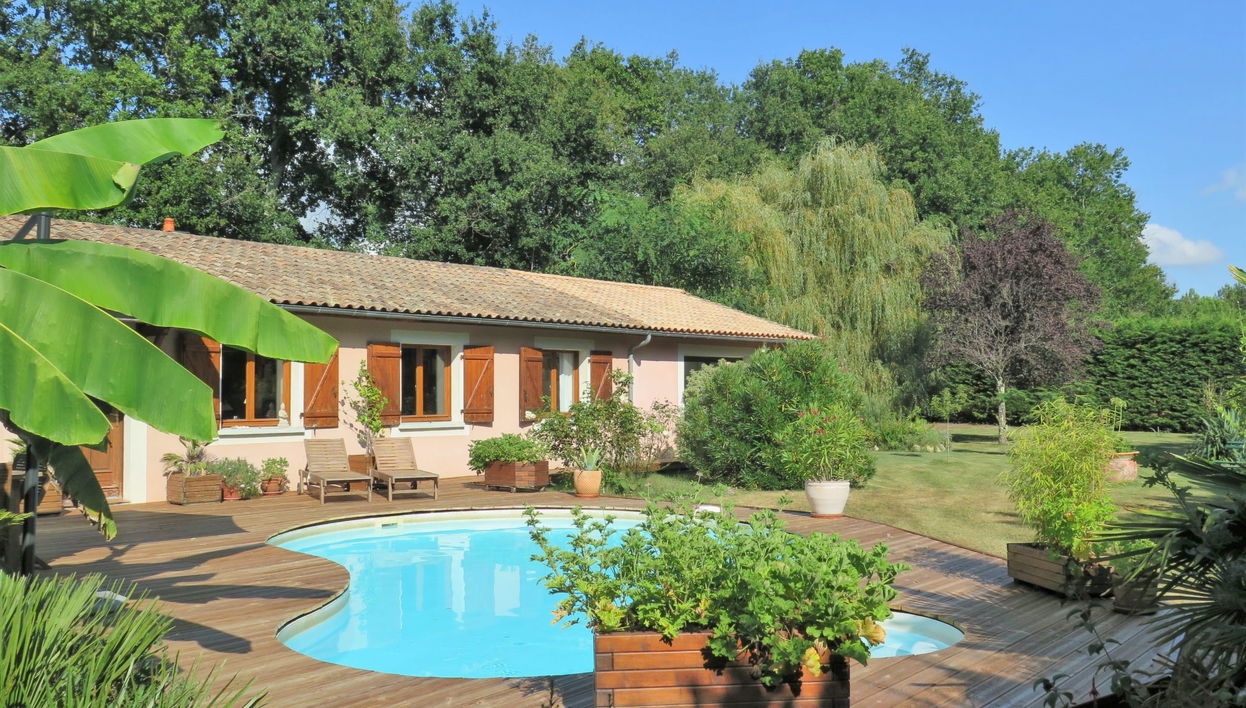 Taste Rebire - Foto 1, House