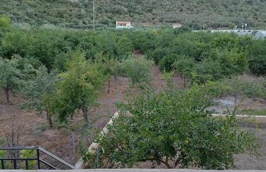 Seaview Maisonette Paradise - Foto 20