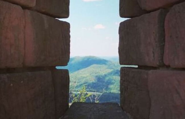 Holiday Apartment Rappenfels Lodge - Photo 39