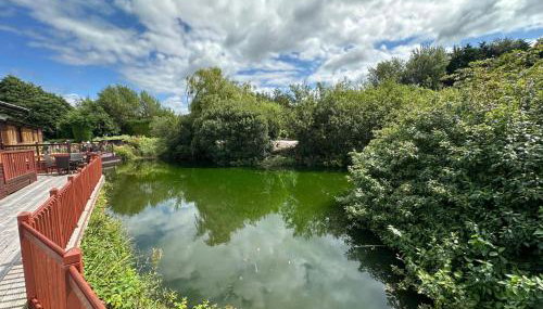 Kingfisher Cosy Lakeside Lodge - Foto 2