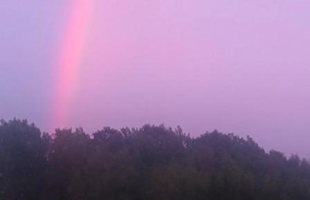 Ptasi Zakątek - Foto 24