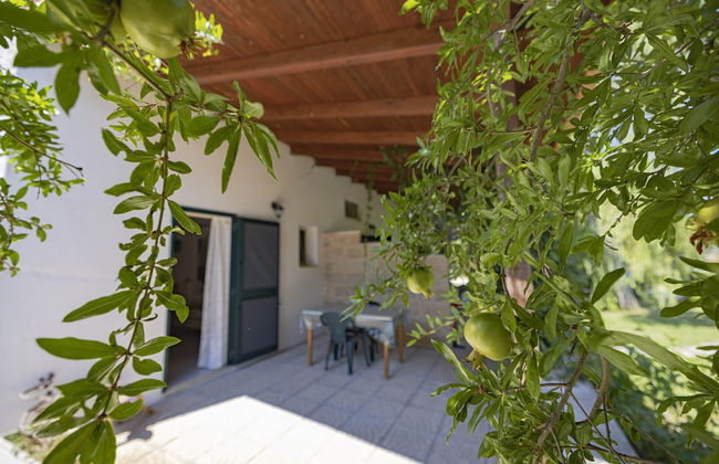 AGRITURISMO LE TAGLIATE - Foto 37