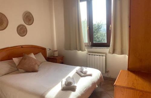 Escuelas de collía B AT-1537-AS - Photo 17