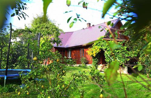 Smolniki 28 - Foto 3