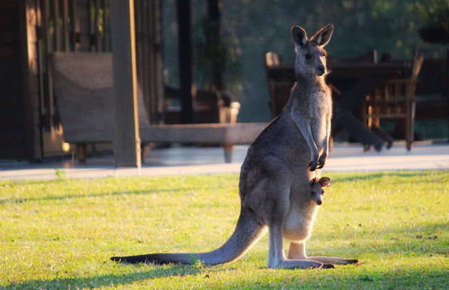 Tranquilo Beach House - Photo 58