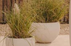 Esclusiva casa golden sulla spiaggia - Foto 59