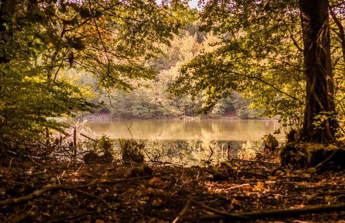 Saunowisko w Krągu - domy Niebieski i Żółty - Foto 14