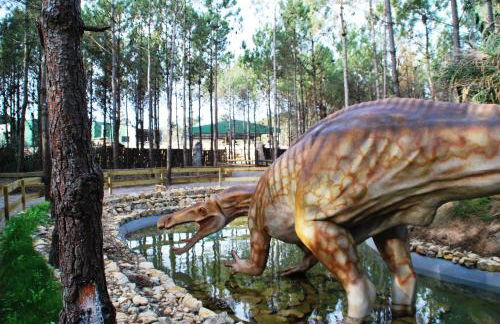 Surf and Stones Apartment - Foto 61