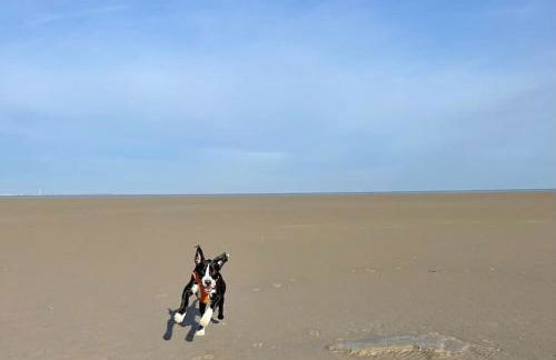 Ferienhaus Butjadingen - Haus Ruhwarden - Foto 13