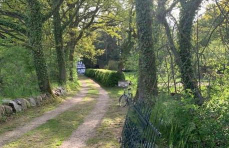 Wassermühle Triglitz - Alleinlage für Retreats, Workshops, Family & Friends - Foto 53