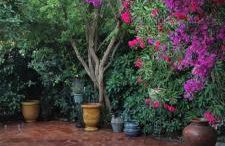 Maison de vacances à l'Ayguade classée 3 étoiles, climatisée,3mn à pied plage et restos ,5mn aéroport, 10mn gare - Foto 41