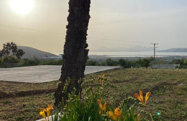 Handra Villa - Foto 6