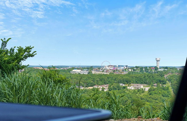 Welcome Home Branson Your Next Home in the Heart of Branson - Photo 29