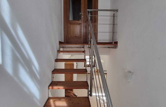 La Civetta Bianca - Foto 6