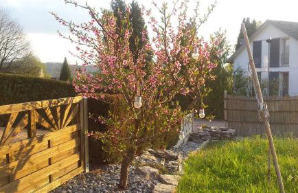 Römischer Gutshof - Foto 8