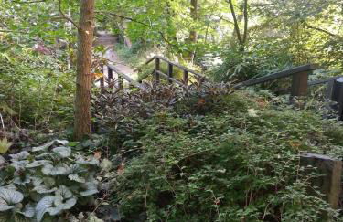 Ferienwohnungen Angela - Foto 55