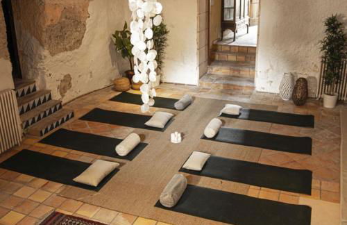 León de Sineu - Foto 15