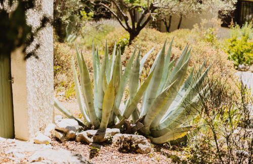 Bastidon La Garrigue - Foto 43