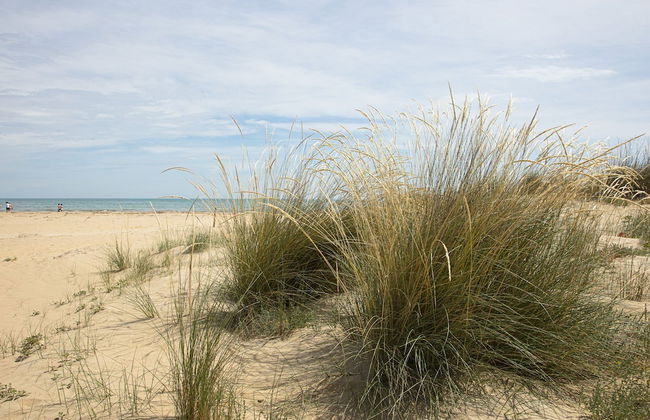 Residenza Excelsior 705 - Foto 3