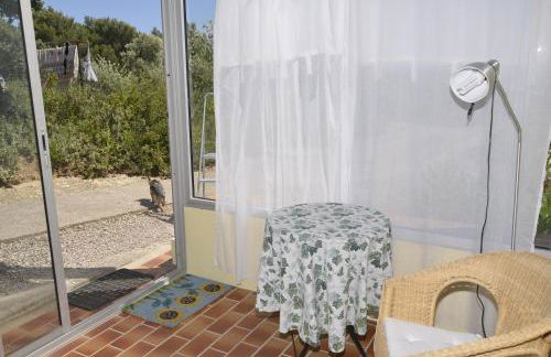 La petite Cigale - Foto 10