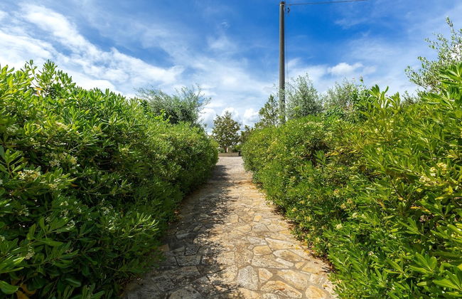 2402 Trullo Ventura by Perle di Puglia - Photo 15