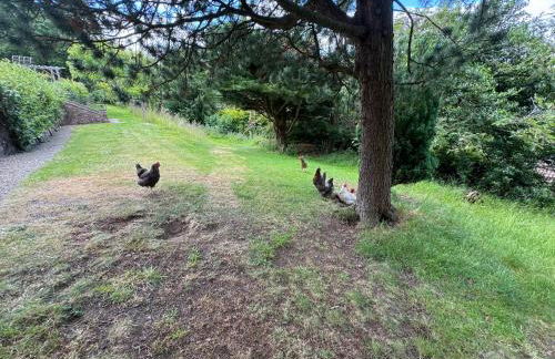 LARCHES LODGE Norwegian log cabin, wood stove & spa - Foto 5