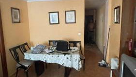 Conejito Malaga - Foto 2