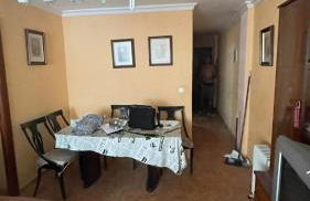 Conejito Malaga - Foto 2