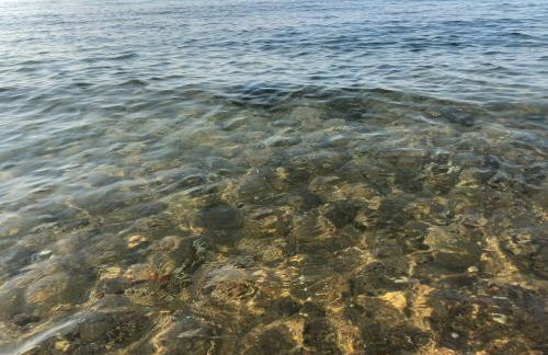 Morski Las - Foto 29