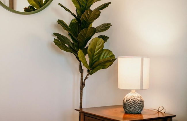 Single Room River View - Foto 12