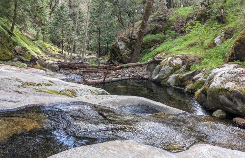 Creekside Cabin 8 Mi to Kings Canyon National Park - Foto 29