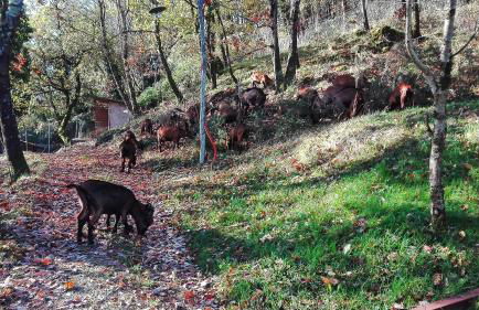 Agriturismo Paneolio - Foto 37