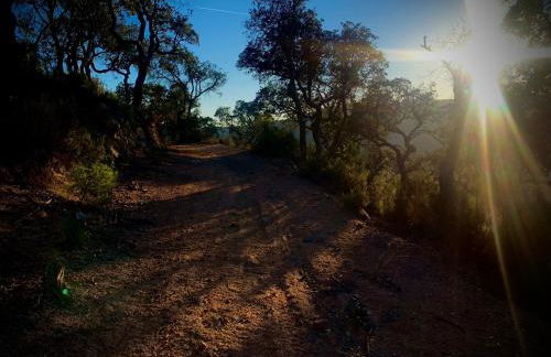 Luxury private Villa 25m Pool, Gym, 200m to Beach - Foto 58