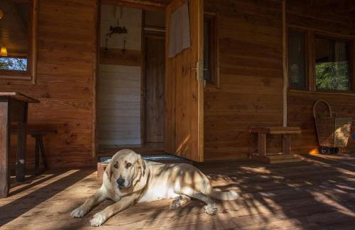 Masía El Moli de Can Aulet - Foto 2