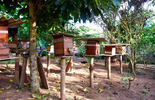 Vale das Rainhas - Photo 12