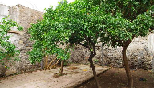 villa liberata - Foto 5, Garden