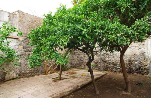 villa liberata - Foto 5